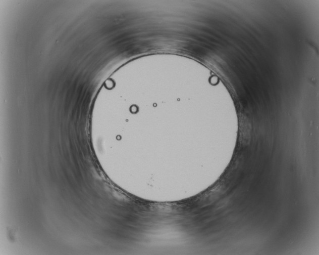 X0000103970956200809191355