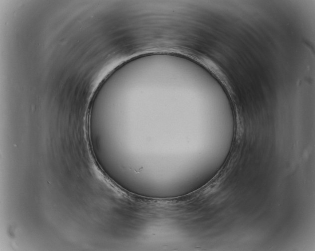 X0000103970958200809191355