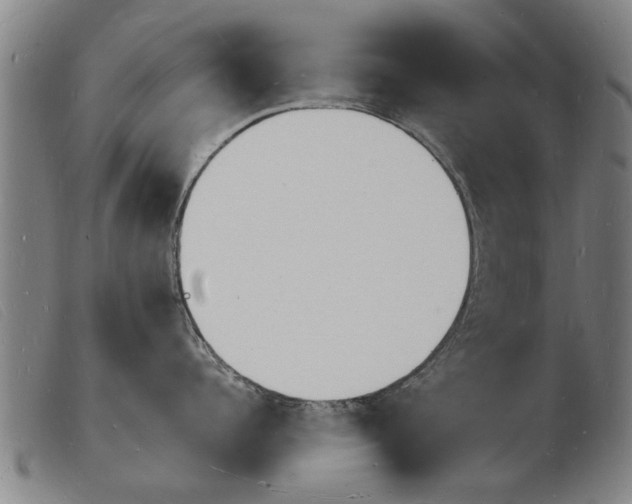 X0000103970960200809191355