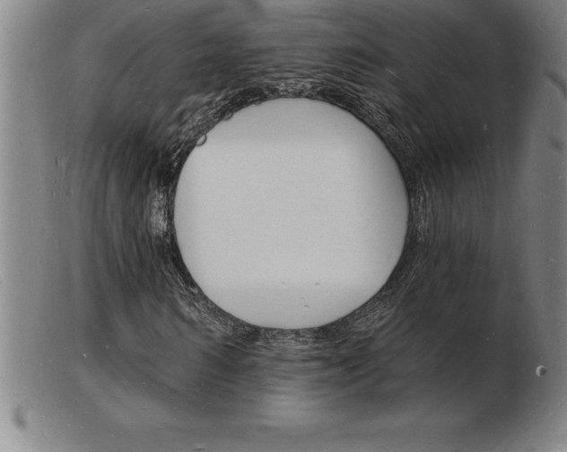 X0000103970962200809191355