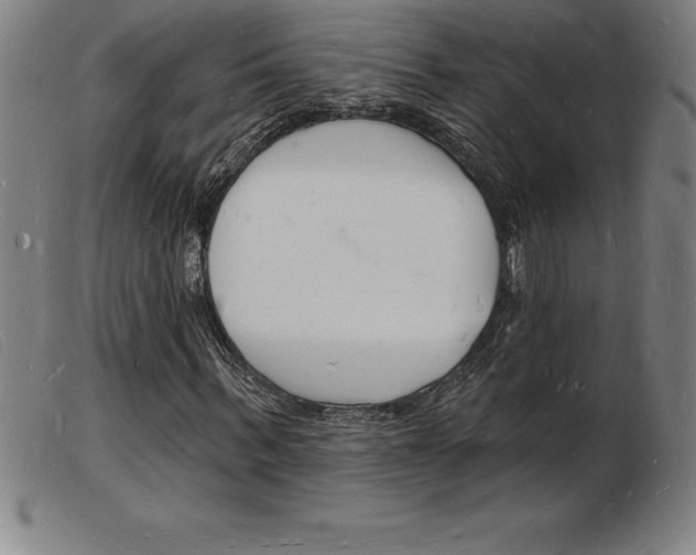 X0000103970963200809191355