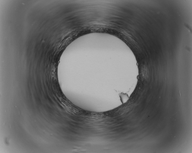 X0000103970964200809191354