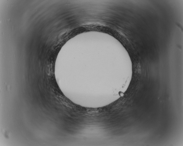 X0000103970965200809191354