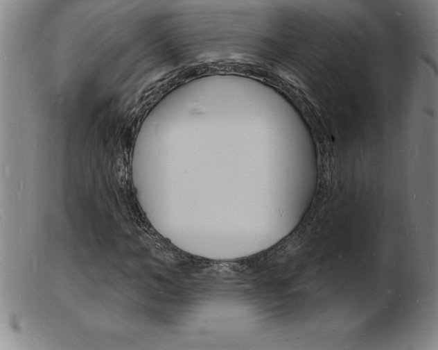 X0000103970966200809191354