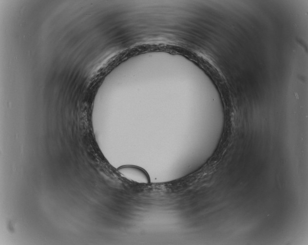 X0000103970968200809191354