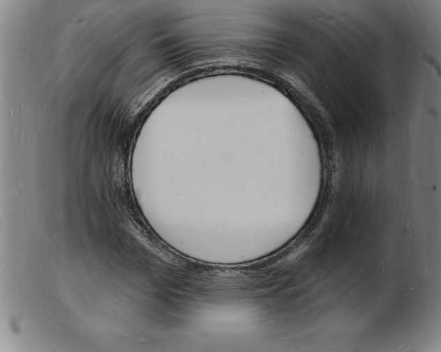 X0000103970969200809191354
