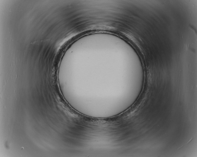 X0000103970971200809191354