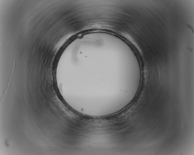 X0000103970972200809191354