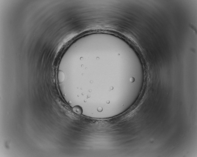 X0000103970974200809191354