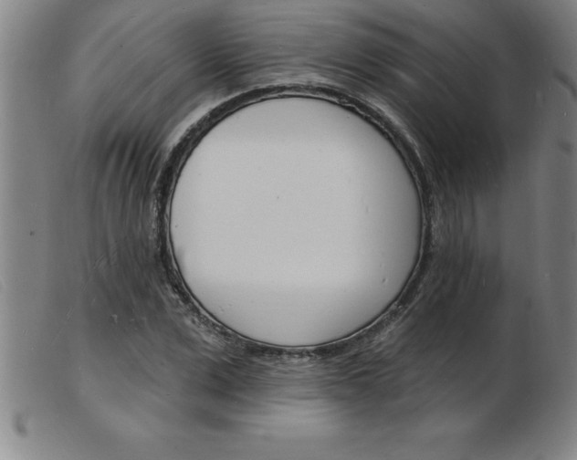 X0000103970975200809191354