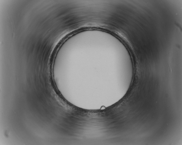X0000103970976200809191354