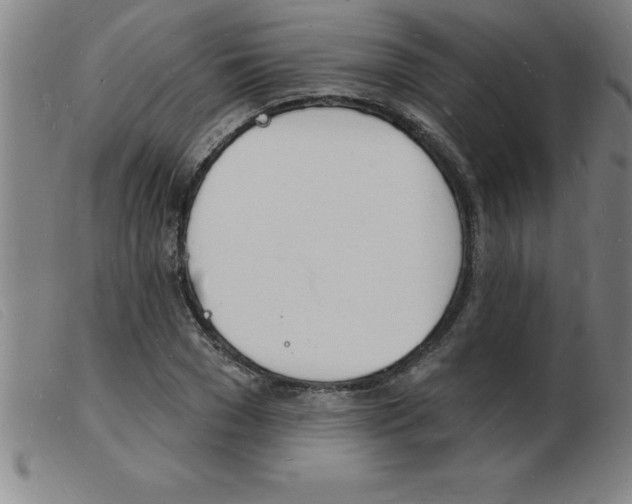 X0000103970977200809191354