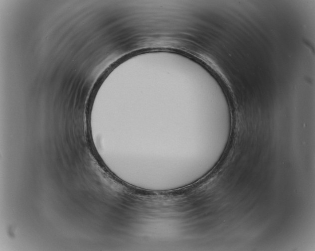 X0000103970980200809191354
