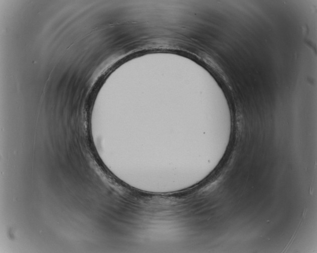 X0000103970981200809191354