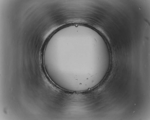 X0000103970983200809191354
