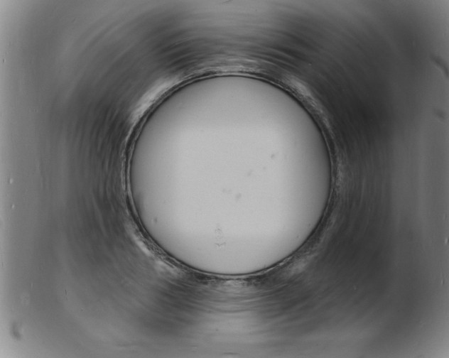 X0000103970986200809191354