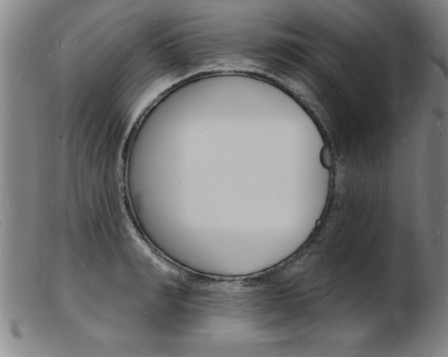 X0000103970990200809191354