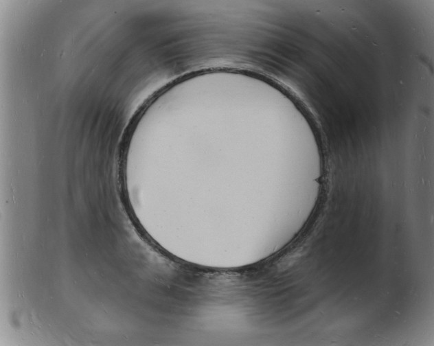 X0000103970991200809191354