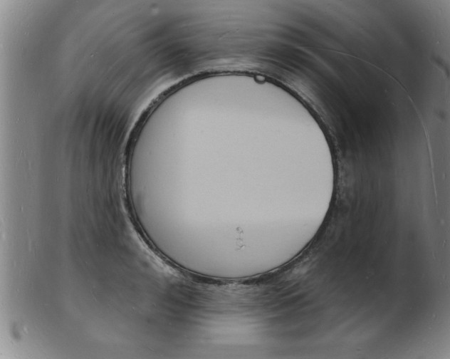 X0000103970992200809191354
