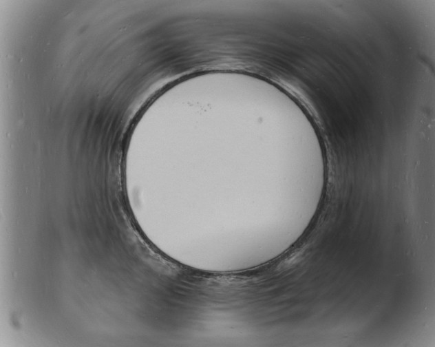 X0000103971000200809191354