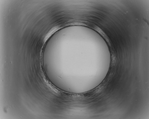 X0000103971002200809191354