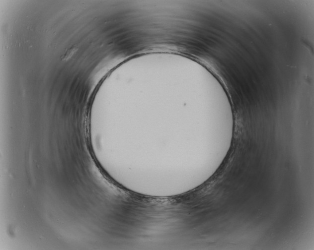 X0000103971003200809191354
