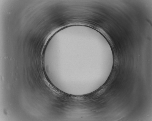 X0000103971004200809191354