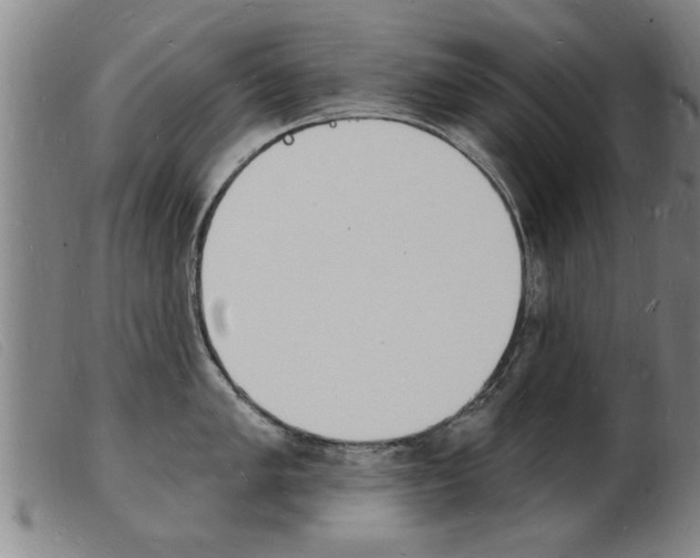 X0000103971005200809191354