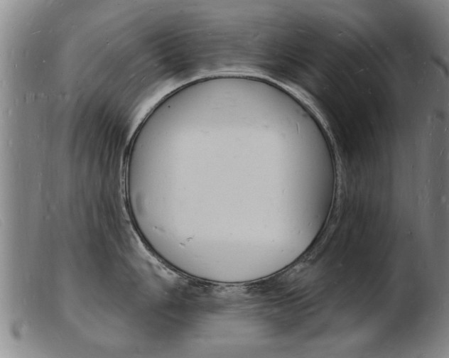 X0000103971006200809191354