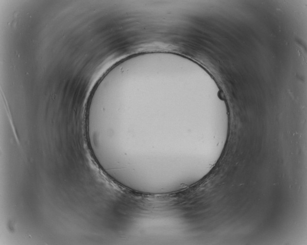 X0000103971008200809191354
