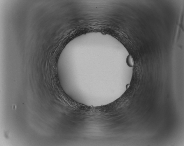 X0000103971009200809191353