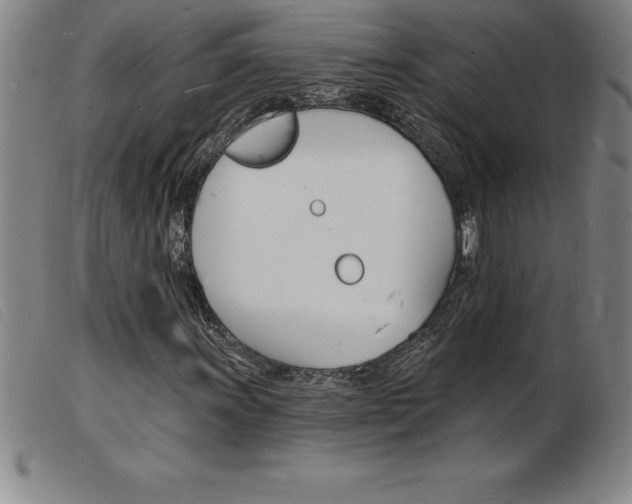 X0000103971011200809191353