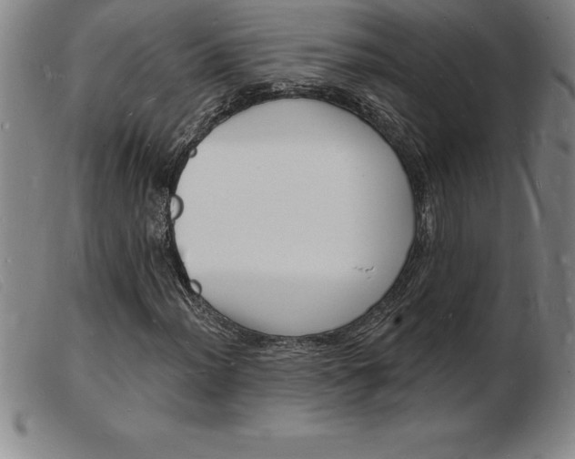 X0000103971012200809191353