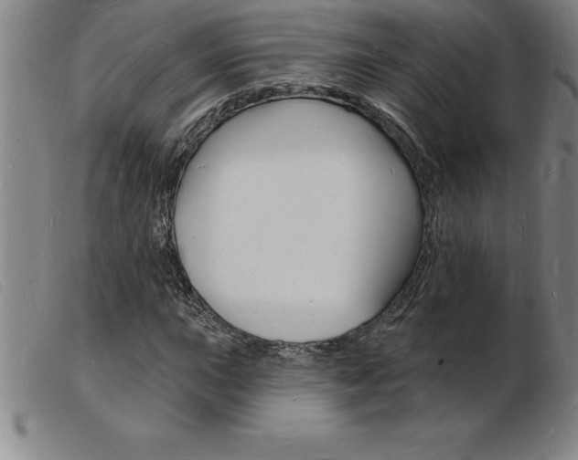 X0000103971015200809191353