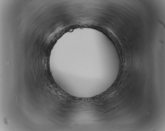 X0000103971016200809191353