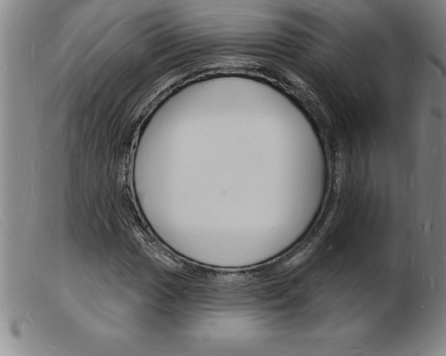 X0000103971017200809191353
