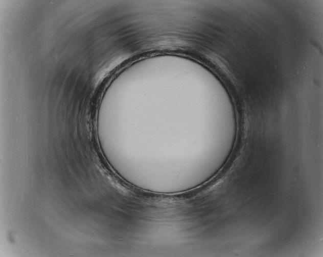 X0000103971018200809191353