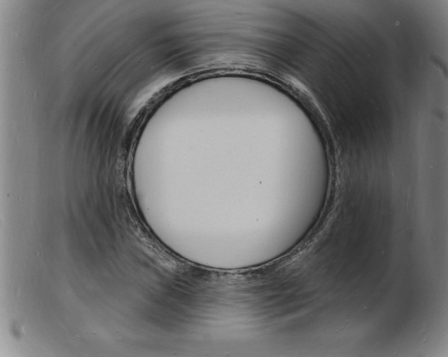 X0000103971019200809191353
