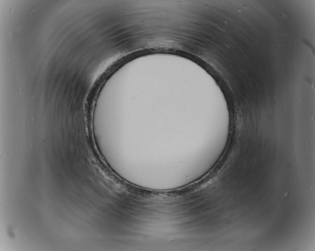 X0000103971022200809191353