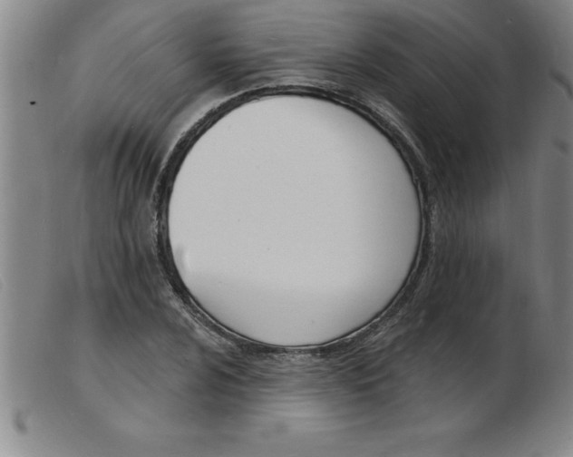 X0000103971024200809191353