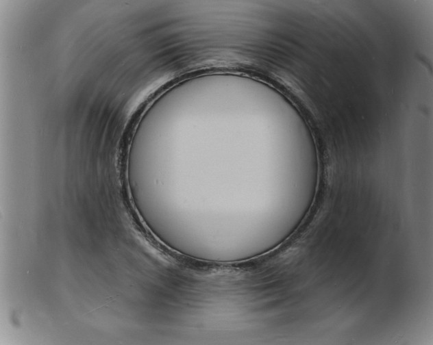 X0000103971026200809191353