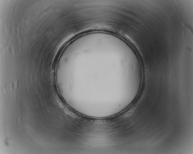 X0000103971029200809191354