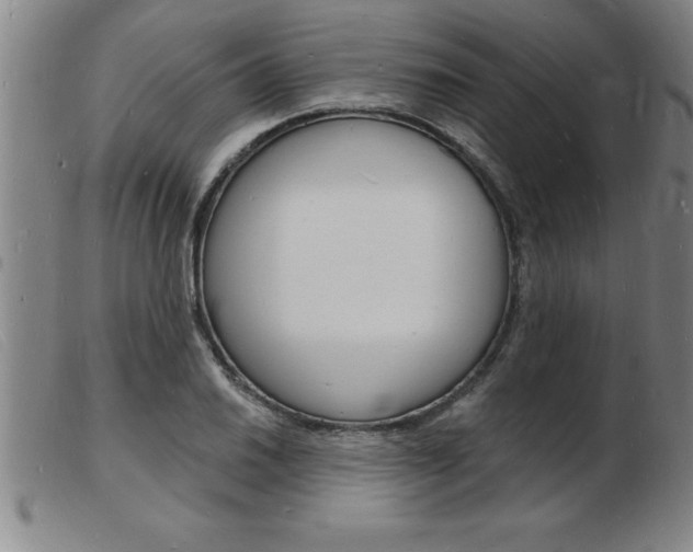 X0000103971030200809191354