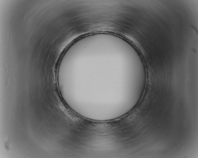 X0000103971031200809191354