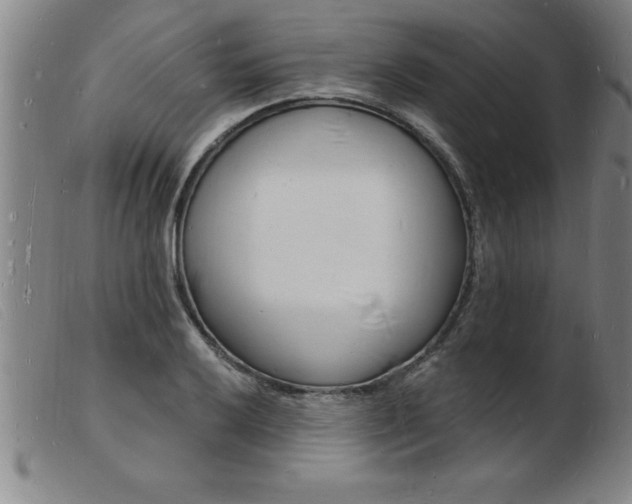 X0000103971032200809191354