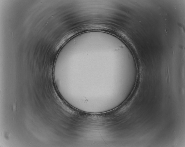 X0000103971033200809191354