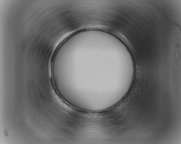 X0000103971036200809191354