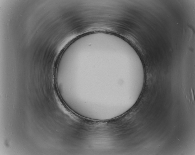 X0000103971038200809191354