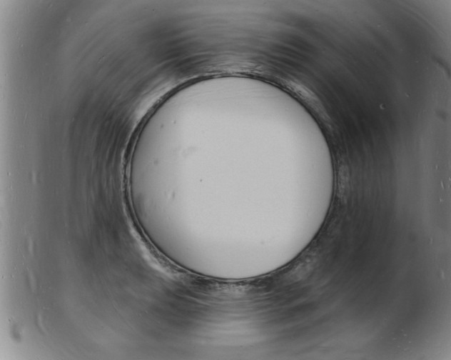 X0000103971039200809191354