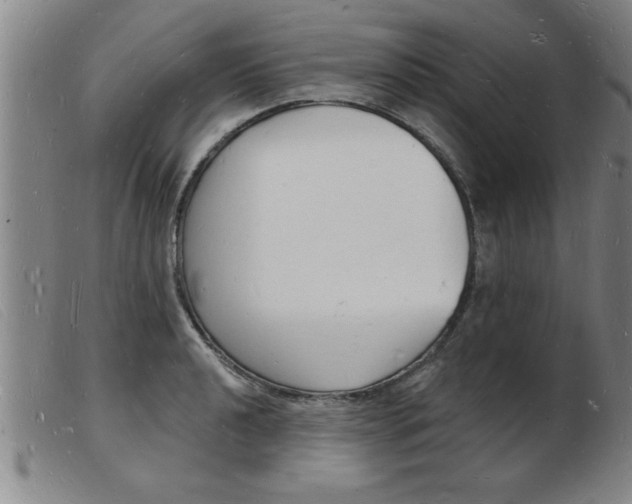 X0000103971040200809191354